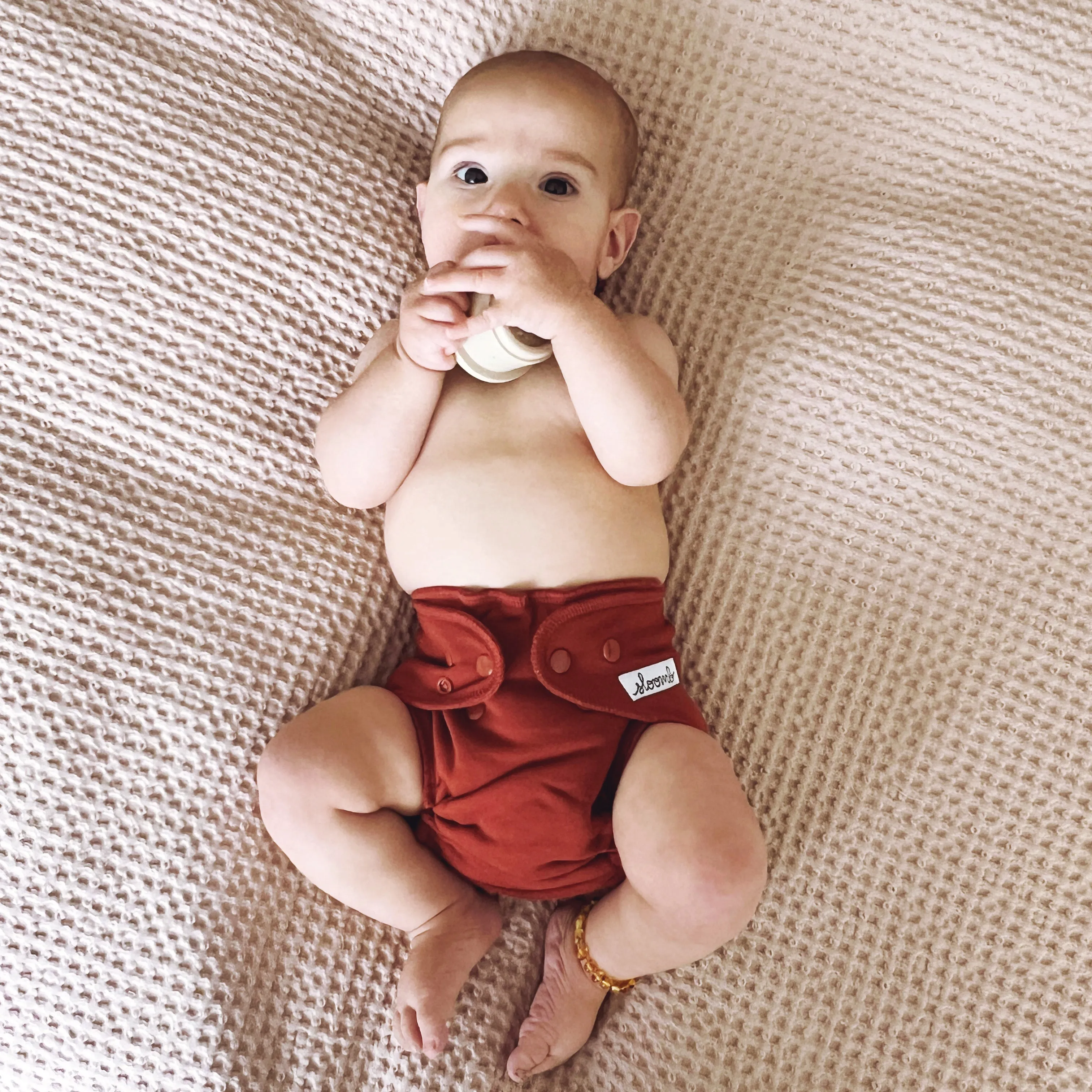 Bamboo Fleece Fitted Diapers: RUST / LARGE