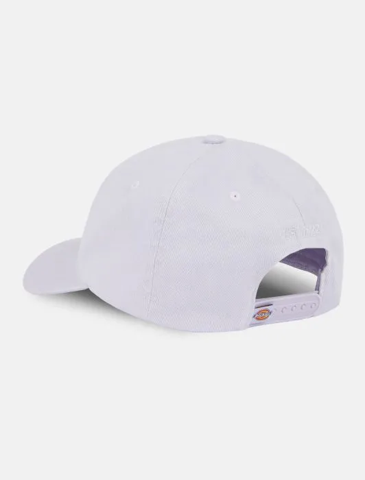 DICKIES - Hardwick Baseball Cap - Cosmic Sky