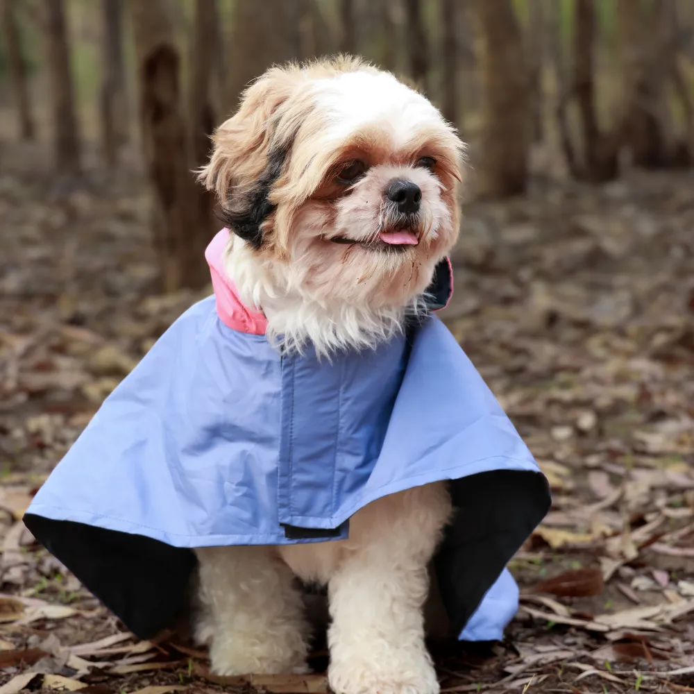 Dual Colour Cape Dog Raincoat Cornflower Blue