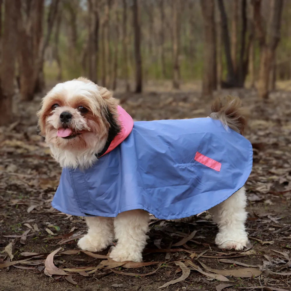 Dual Colour Cape Dog Raincoat Cornflower Blue