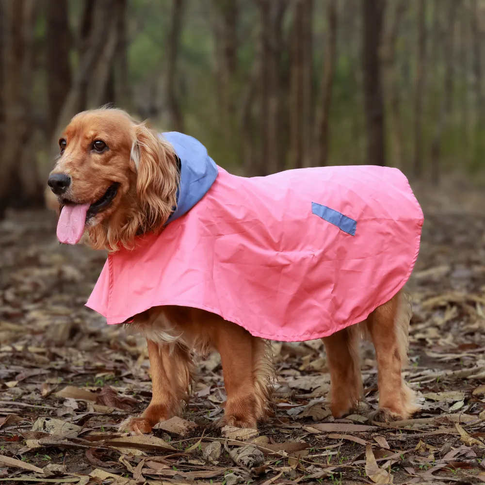 Dual Colour Cape Dog Raincoat Cornflower Blue