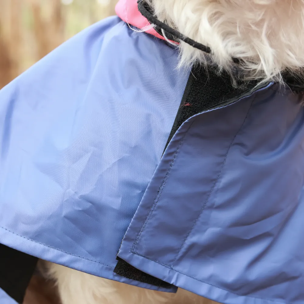 Dual Colour Cape Dog Raincoat Cornflower Blue