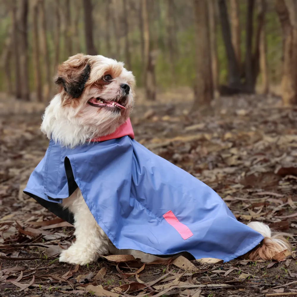 Dual Colour Cape Dog Raincoat Cornflower Blue