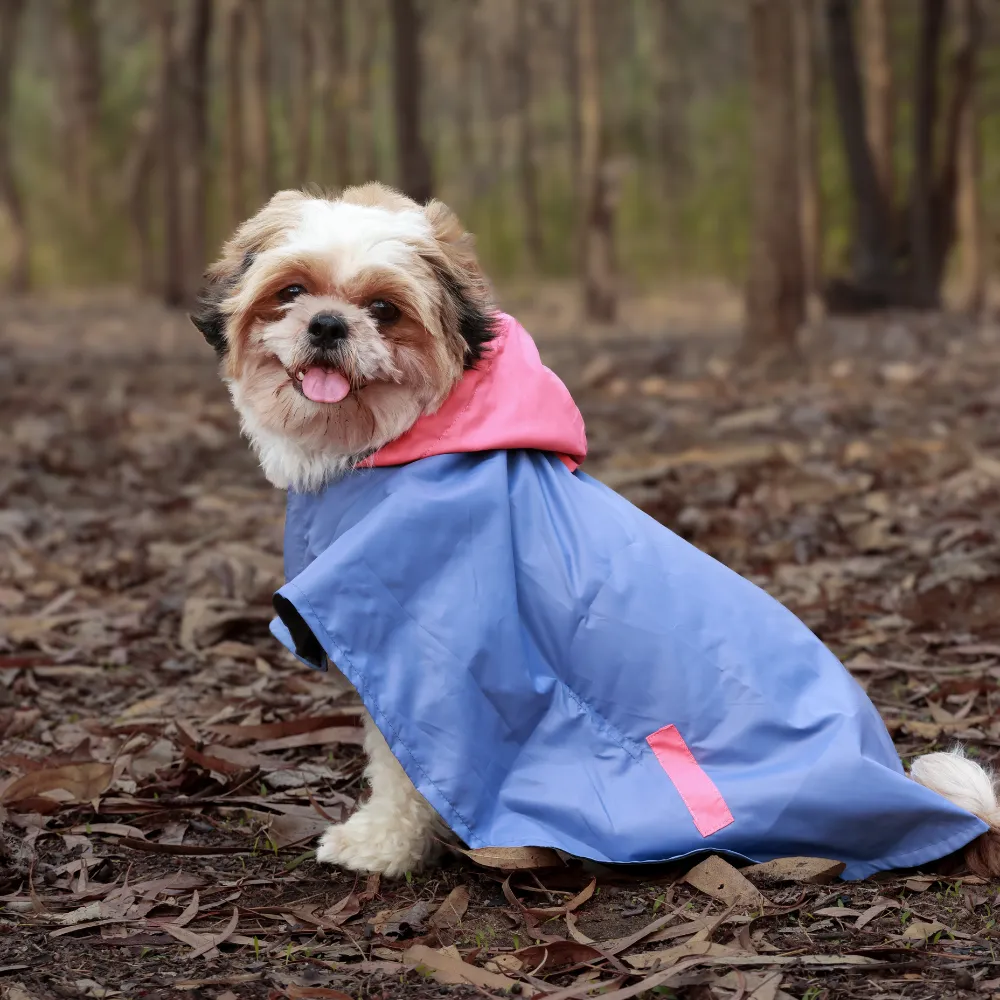 Dual Colour Cape Dog Raincoat Cornflower Blue