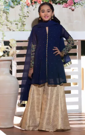 Embroidered Chiffon Plazo Suit | WC1718 | P1342