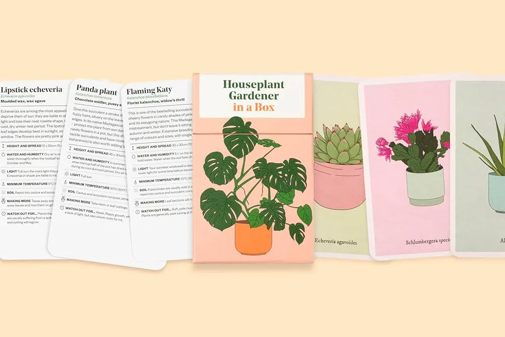 Houseplant Gardener In A Box