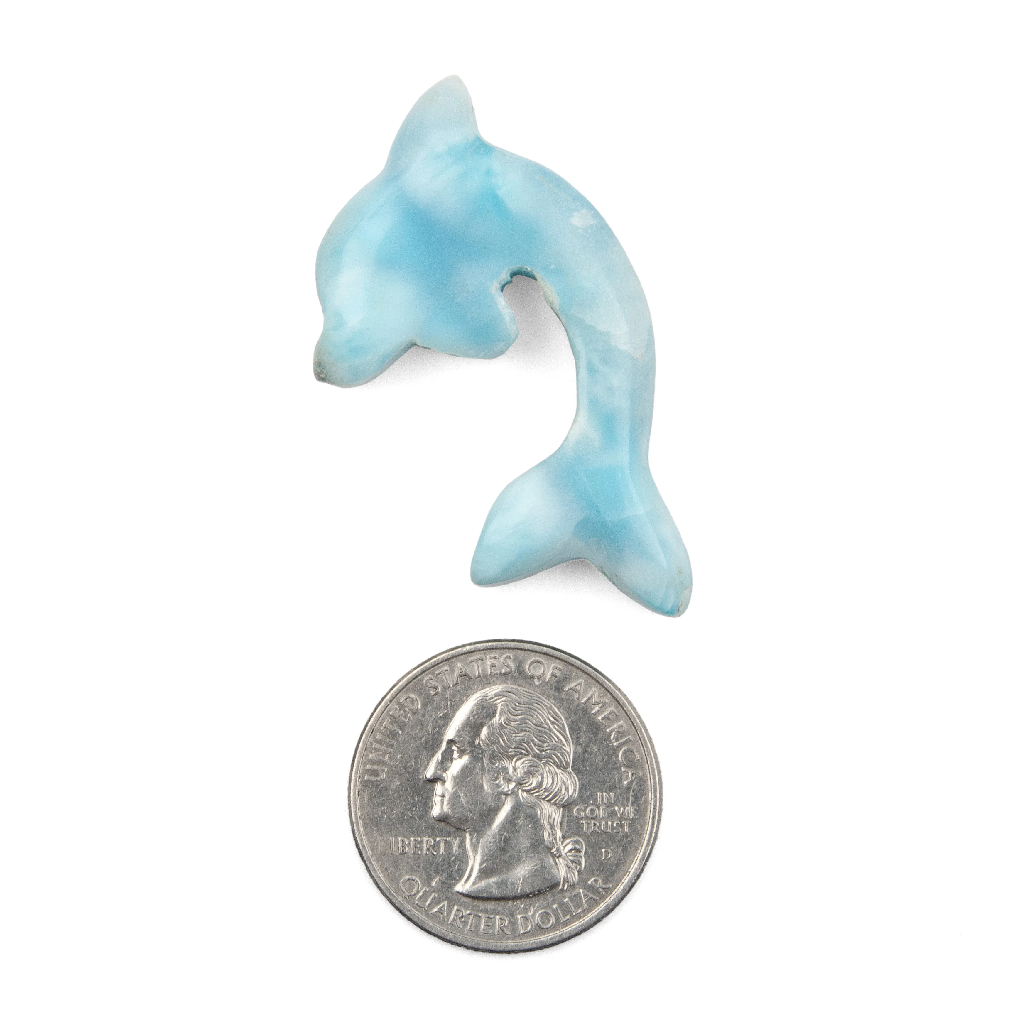 Larimar Dolphin