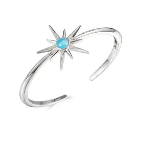 Larimar Star Urchin Bangle