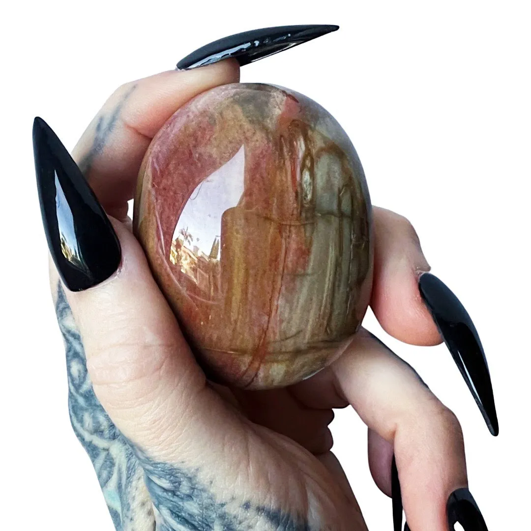 Petrified Wood Palm Stone