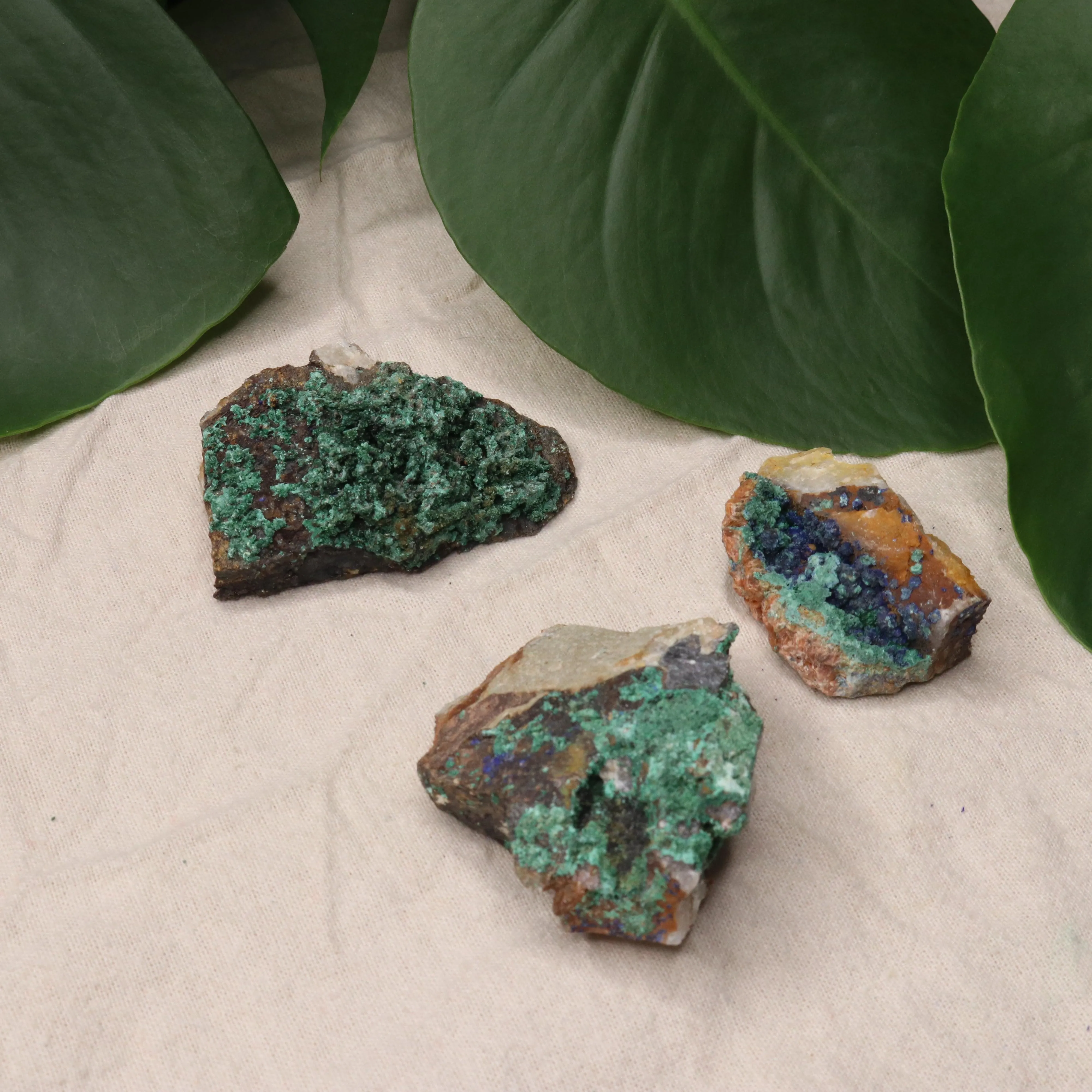 Rough Azurite and Malachite Specimen Set of 3 from Morocco