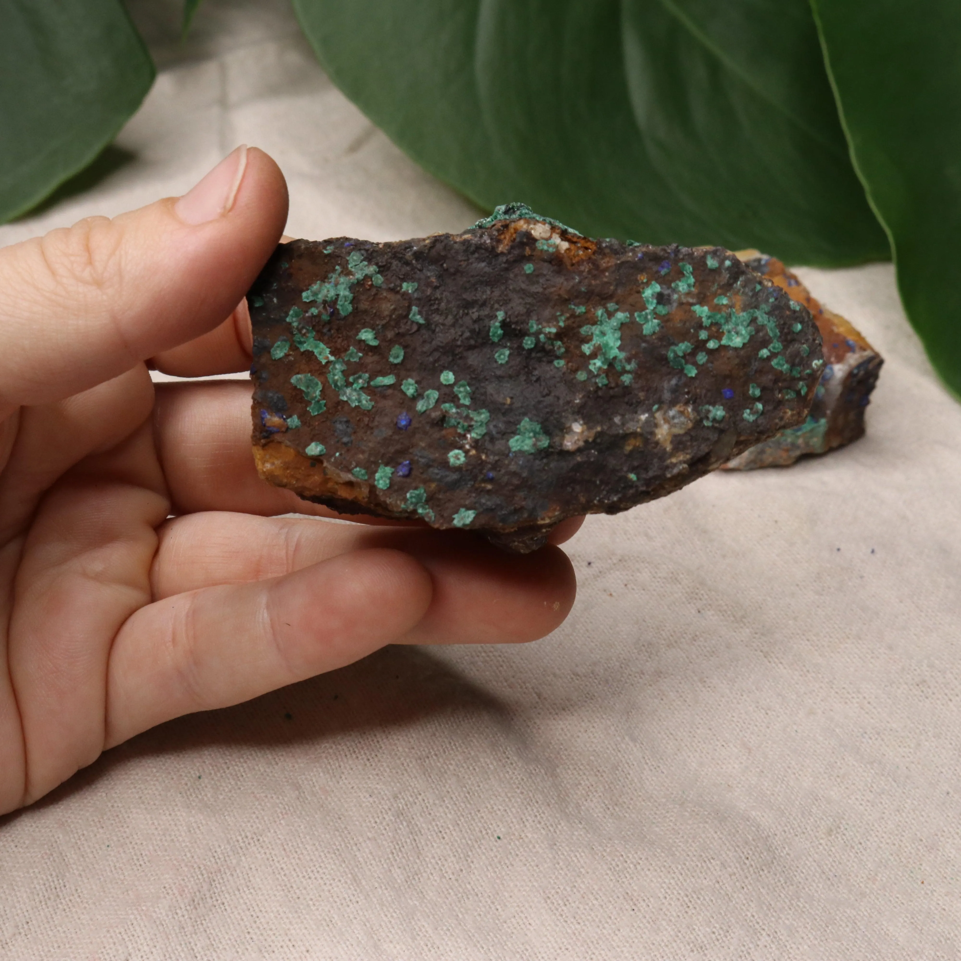 Rough Azurite and Malachite Specimen Set of 3 from Morocco